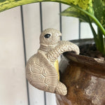 Hængende skildpadde i polyresin på kanten af en urtepotte