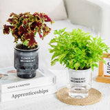 ClearBloom | Plantekrukke Minimalistisk - Transparent Selvvandende Design