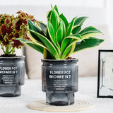 ClearBloom | Plantekrukke Minimalistisk - Transparent Selvvandende Design