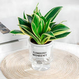ClearBloom | Plantekrukke Minimalistisk - Transparent Selvvandende Design
