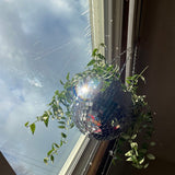 DiscoLeaf | Hængeplantekrukke Moderne - Spejl Disco Design
