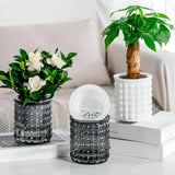 NordicBubble | Glasbeholder Moderne - Struktureret Design