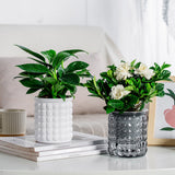 NordicBubble | Glasbeholder Moderne - Struktureret Design