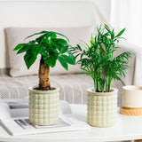 NordicBubble | Glasbeholder Moderne - Struktureret Design