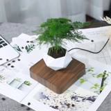 NordicFloat | Plantekrukke Moderne - Magnetisk Svævende Design