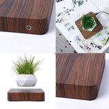 NordicFloat | Plantekrukke Moderne - Magnetisk Svævende Design