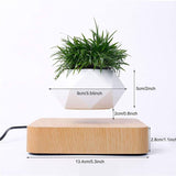 NordicFloat | Plantekrukke Moderne - Magnetisk Svævende Design