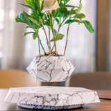 NordicFloat | Plantekrukke Moderne - Magnetisk Svævende Design