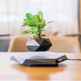 NordicFloat | Plantekrukke Moderne - Magnetisk Svævende Design