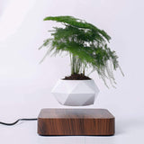 NordicFloat | Plantekrukke Moderne - Magnetisk Svævende Design