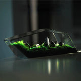 NordicGeo | Terrarium Moderne - Geometrisk Glas Design