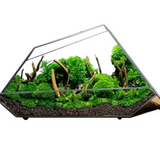 NordicGeo | Terrarium Moderne - Geometrisk Glas Design