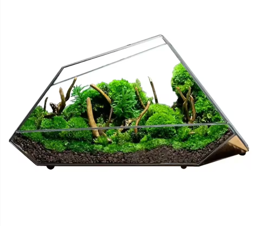 NordicGeo | Terrarium Moderne - Geometrisk Glas Design