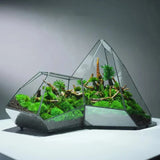 NordicGeo | Terrarium Moderne - Geometrisk Glas Design