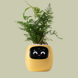 NordicGrow | Plantekasse Moderne - Smart Selvvandende Design