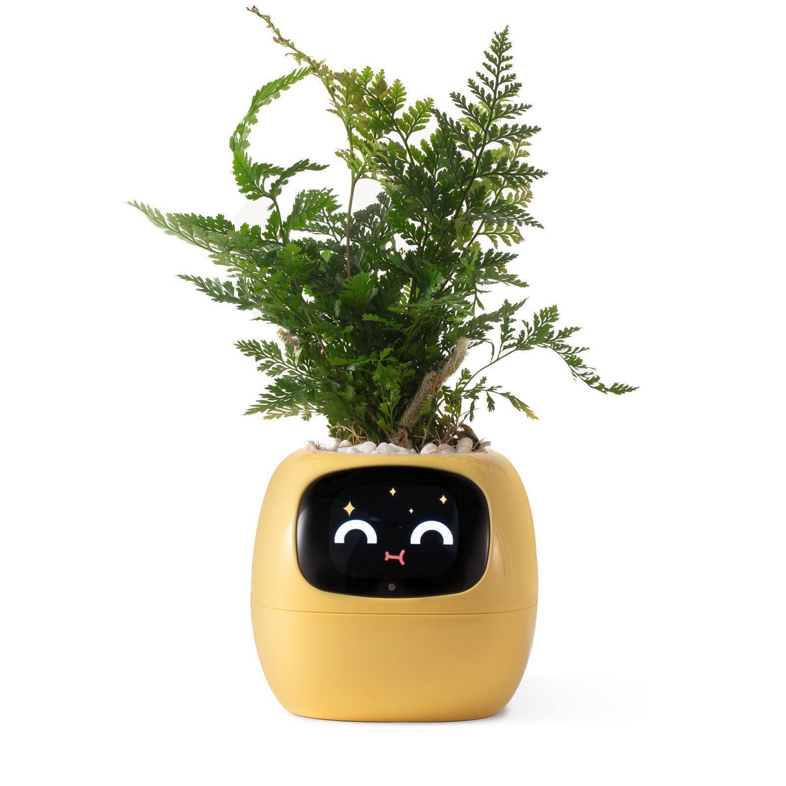 NordicGrow | Plantekasse Moderne - Smart Selvvandende Design
