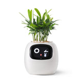 NordicGrow | Plantekasse Moderne - Smart Selvvandende Design