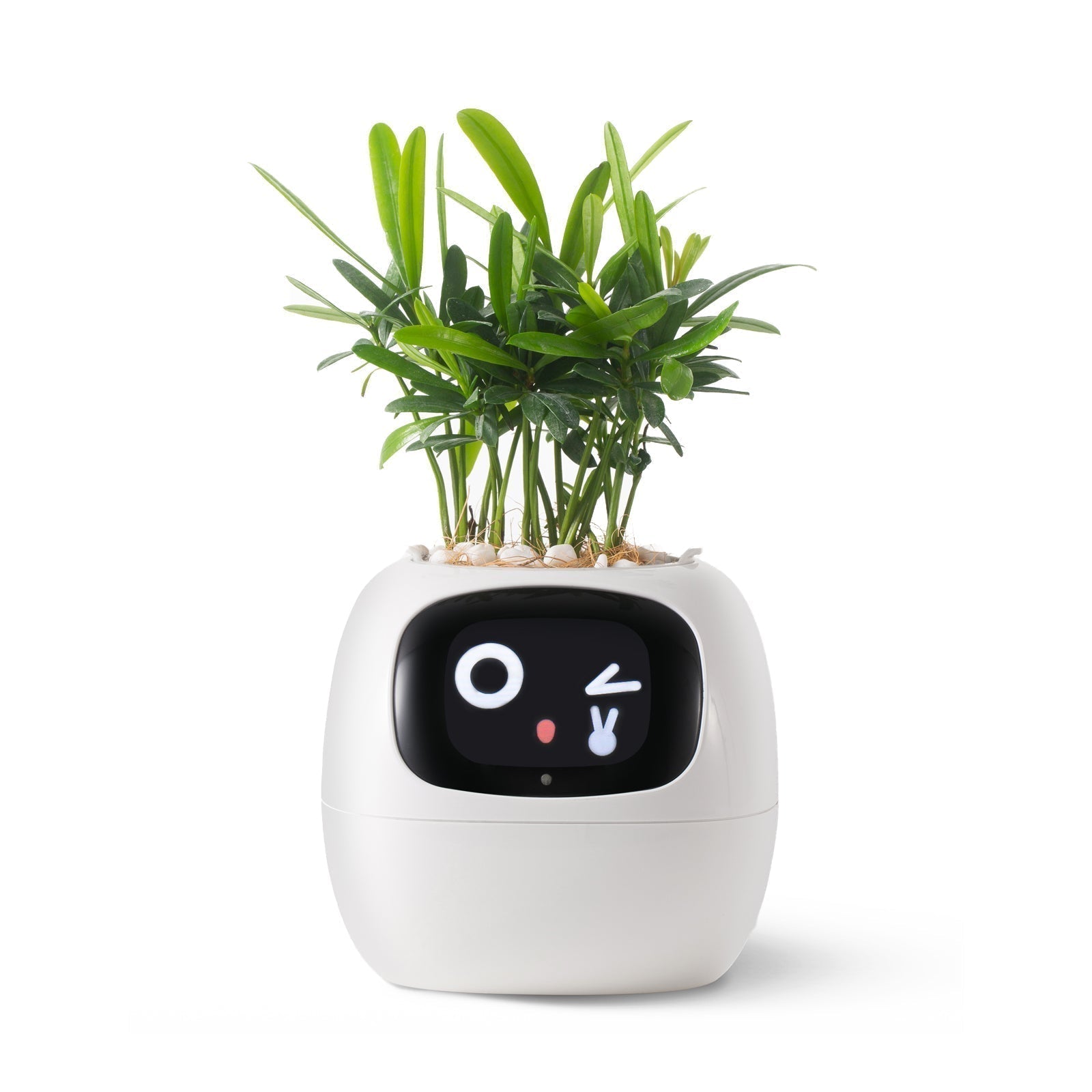 NordicGrow | Plantekasse Moderne - Smart Selvvandende Design