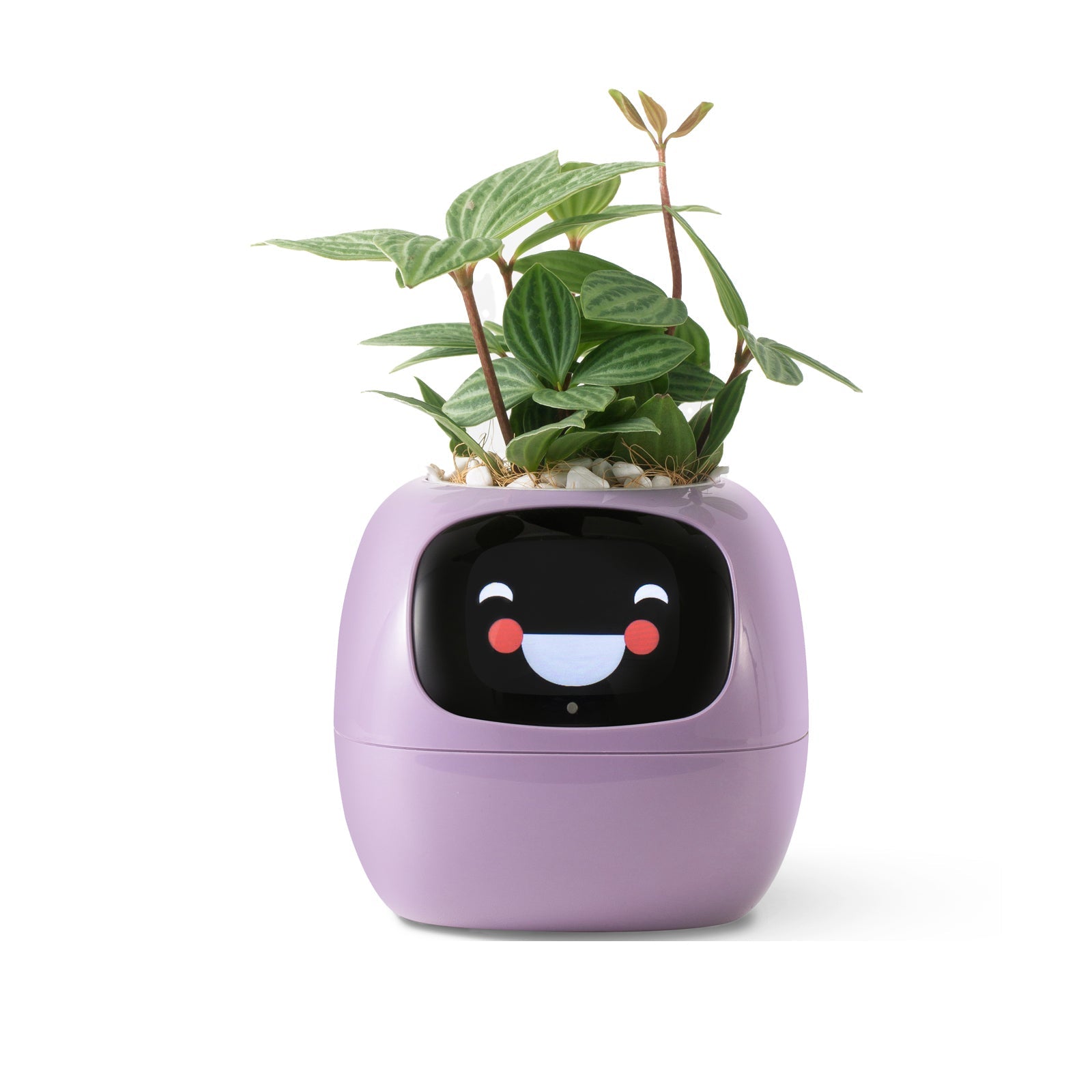 NordicGrow | Plantekasse Moderne - Smart Selvvandende Design