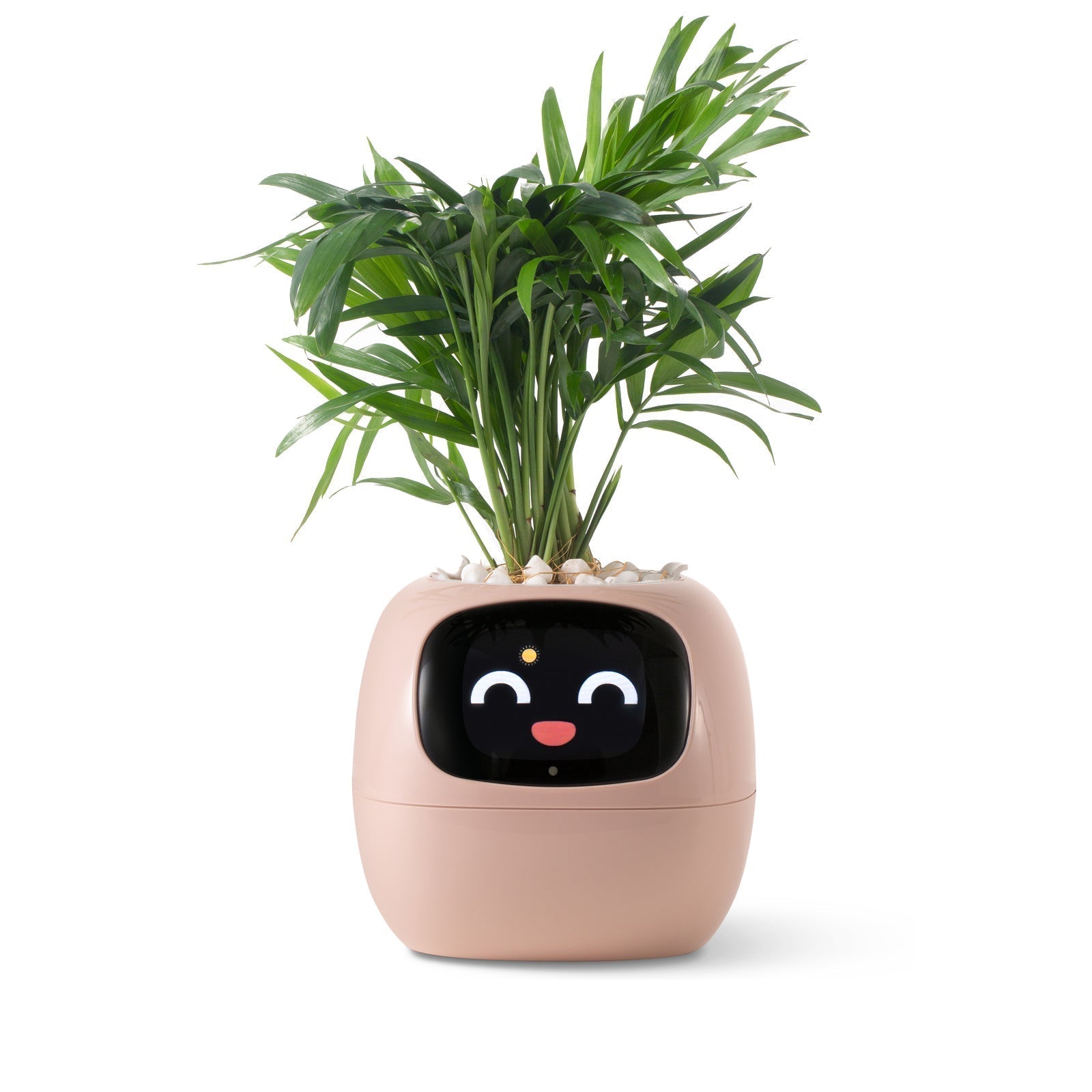 NordicGrow | Plantekasse Moderne - Smart Selvvandende Design