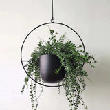 NordicHalo | Hængeplantekrukke Minimalistisk - Rundt Metal Design