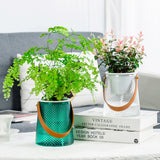 NordicHandle | Plantekrukke Moderne - Selvvandende Glas Med Læderrem