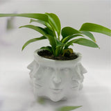 NordicMuse | Plantekrukke Moderne - 3D Ansigtsskulptur Design