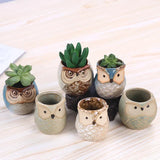 NordicOwl | Plantekrukke Skandinavisk - Mini Keramisk Design