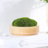NordicStone | Moskrukke Minimalistisk - Naturlig Sten Design