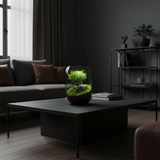 NordicTerrra | Plantekasse Minimalistisk - Glas Terrarium Mikro Landskab