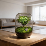 NordicTerrra | Plantekasse Minimalistisk - Glas Terrarium Mikro Landskab