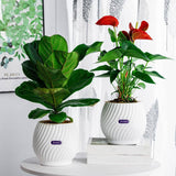 NordicWave | Blomsterkrukke Skandinavisk - Riflet Keramik Design