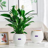NordicWave | Blomsterkrukke Skandinavisk - Riflet Keramik Design