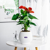 NordicWave | Blomsterkrukke Skandinavisk - Riflet Keramik Design