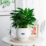 NordicWave | Blomsterkrukke Skandinavisk - Riflet Keramik Design