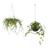 ScandiAura | Plantekasse Minimalistisk - Metal Bucket med Kæde