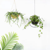 ScandiAura | Plantekasse Minimalistisk - Metal Bucket med Kæde